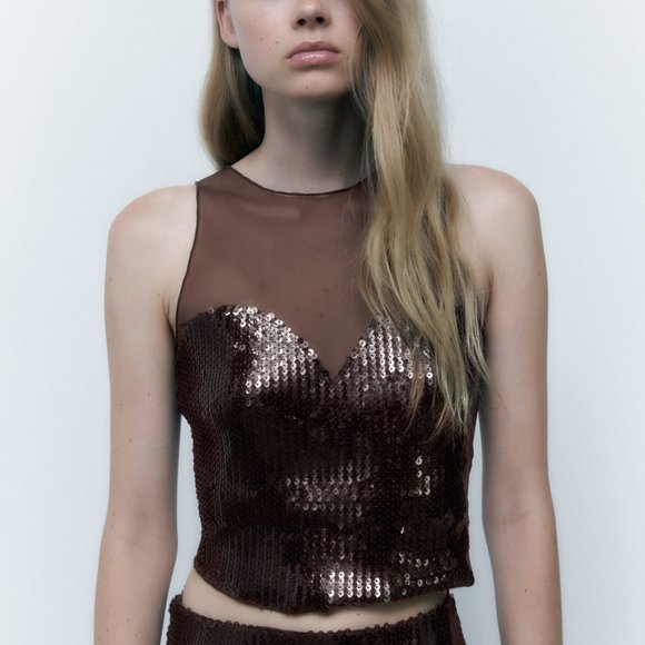 BNWT ZARA SKIRT SET 2 PIECES SEQUIN TULLE TOP AND SKIRT DARK BROWN SMALL - Picture 4 of 6